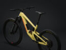 santacruz nomad udine